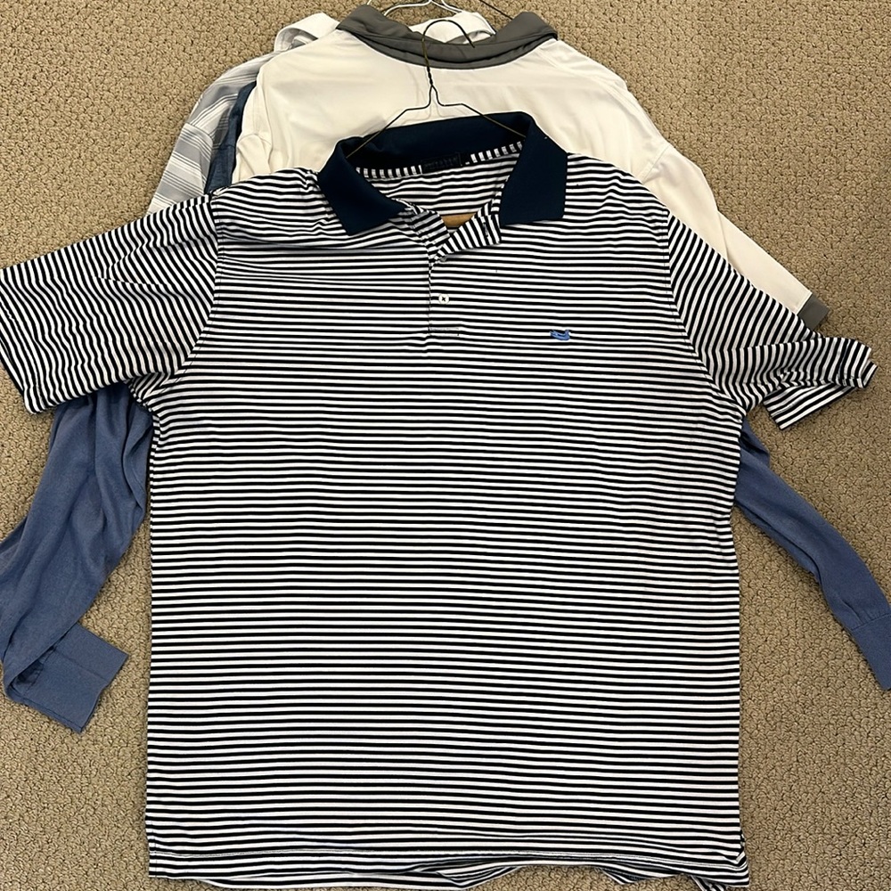 Southern Marsh Polo